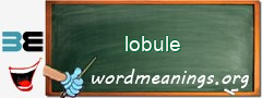 WordMeaning blackboard for lobule